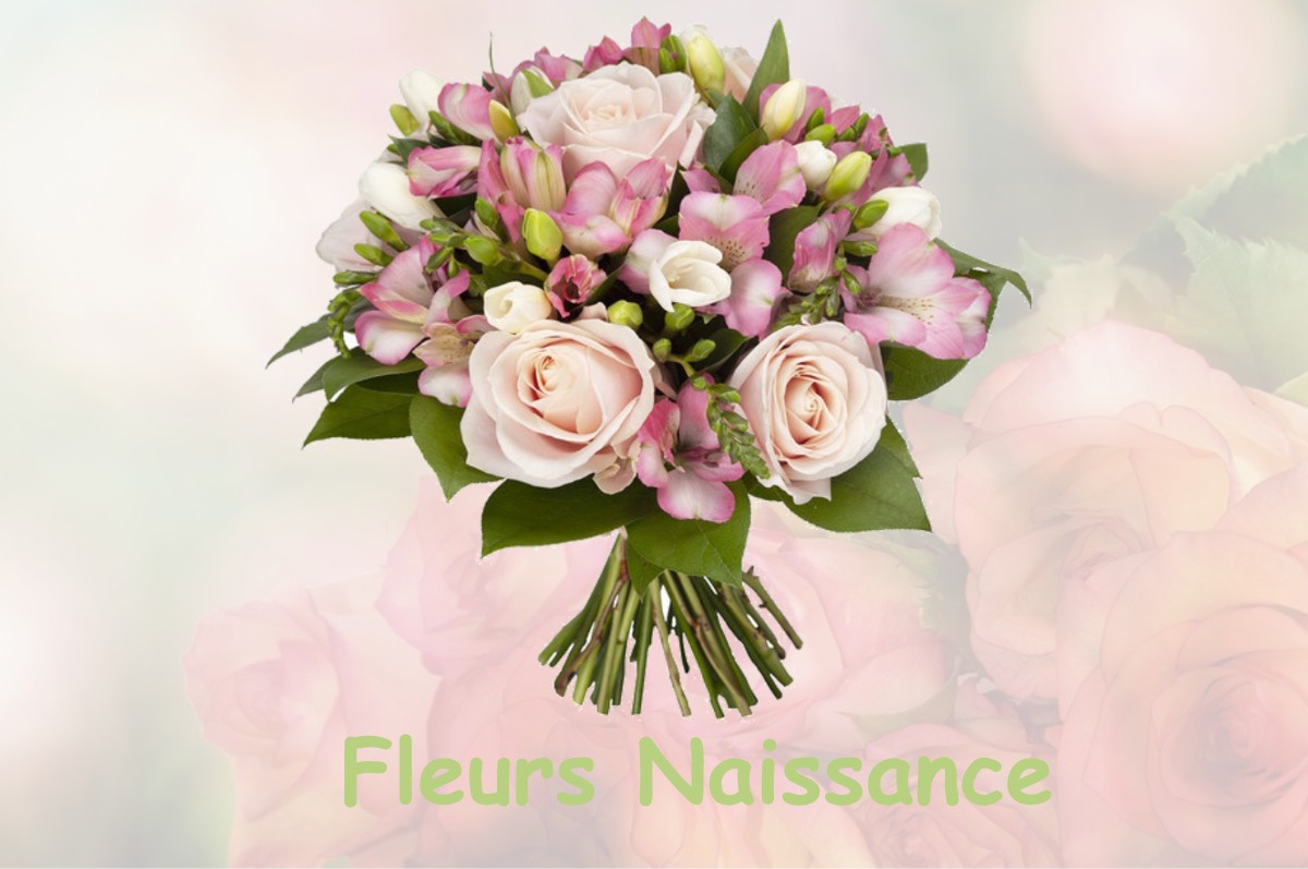 fleurs naissance SAINT-PIERRE-D-AUTILS